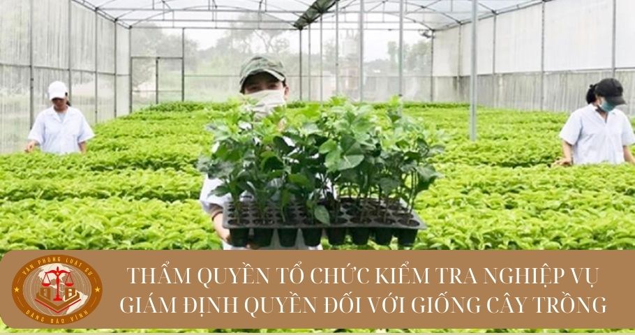 Gi&aacute;m định quyền đối với giống c&acirc;y trồng